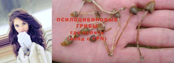 эйфоретик Кулебаки