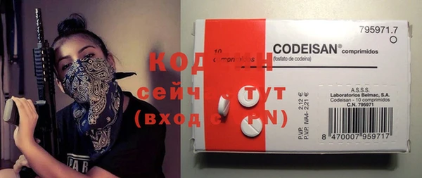 мдпв Кукмор