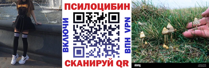 блэк спрут как войти  Мостовской  Галлюциногенные грибы GOLDEN TEACHER 